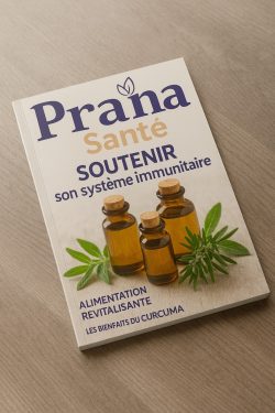 Mockup Prana Santé